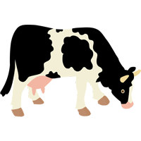 cow-icon-1